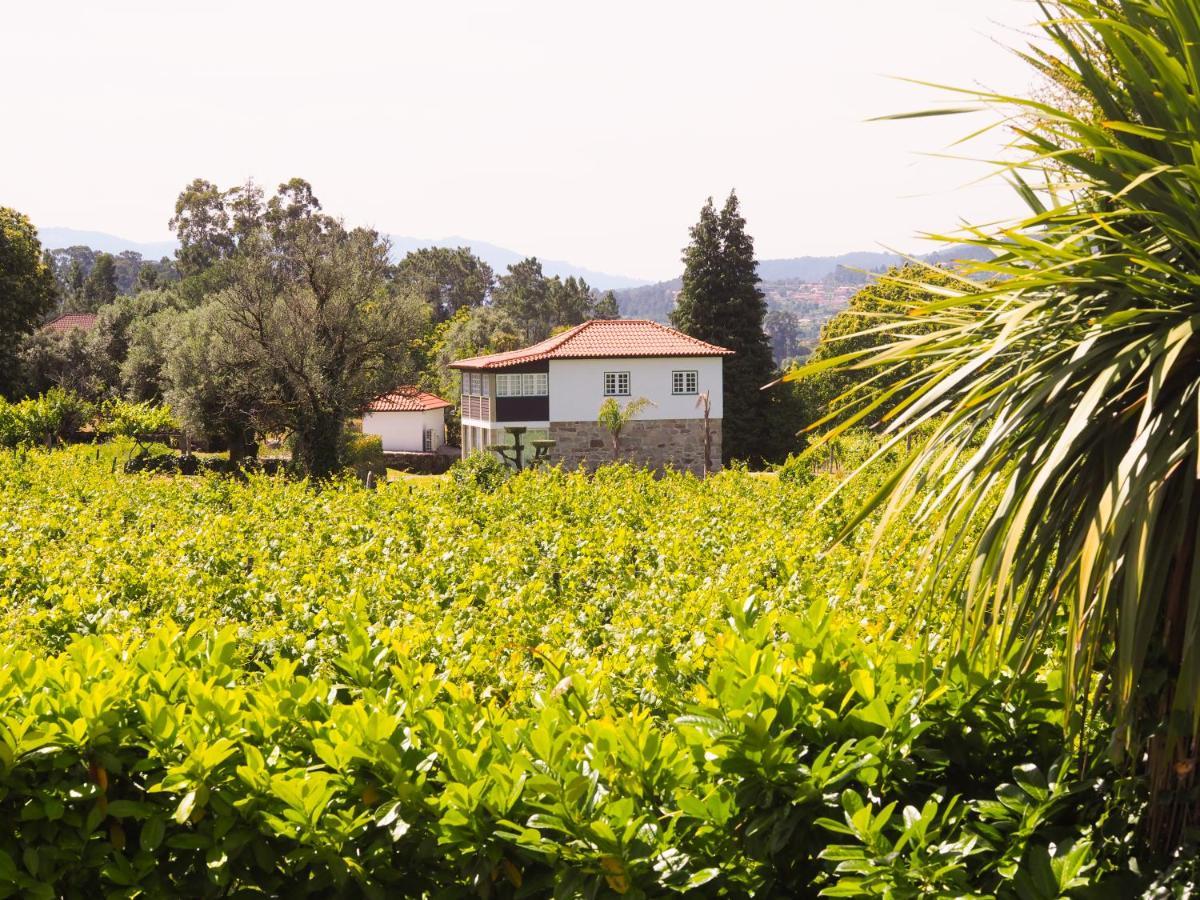 Casa Da Vinha Landhaus
